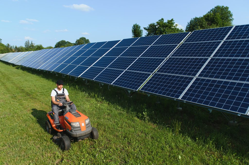 Agrivoltaico e aree idonee, dal conflitto alla concertazione